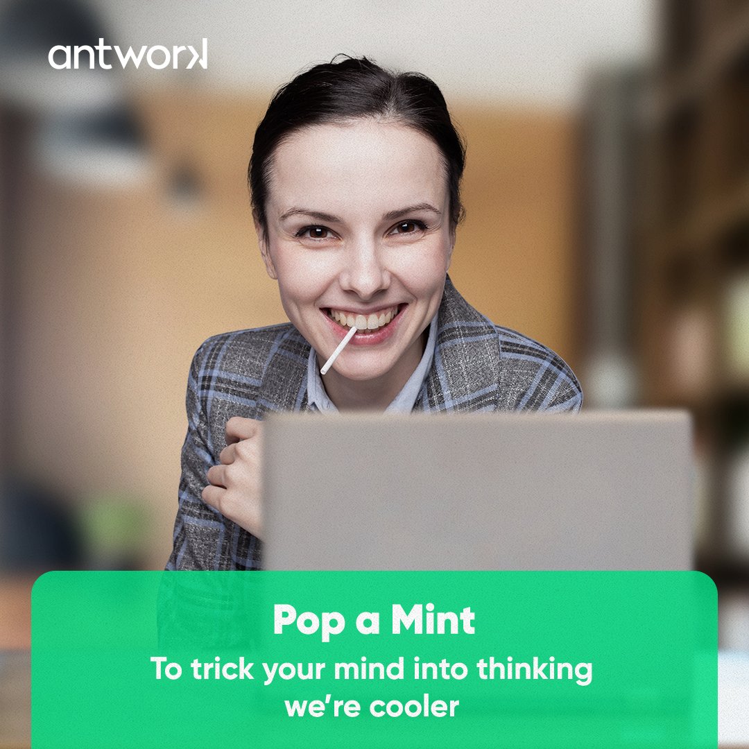 antwork's tweet photo. It’s really hard to think clearly, be creative, and engage fully with your work when the weather is too hot.
Hack your system by applying these tips to your summer workday.🥵
#Antwork #Summer #focus #work #Worktips #summertips #Working #Worklife #Success #business https://t.co/ATMb7RfcWd