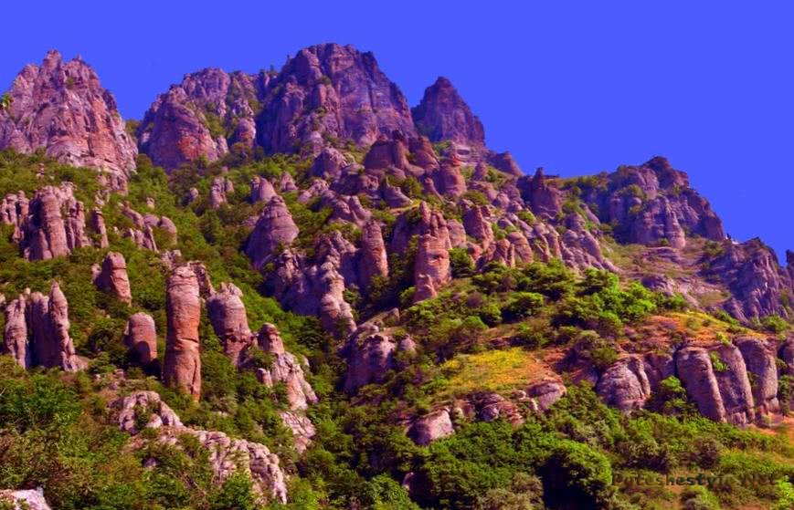 Stand with Ukraine tweet media