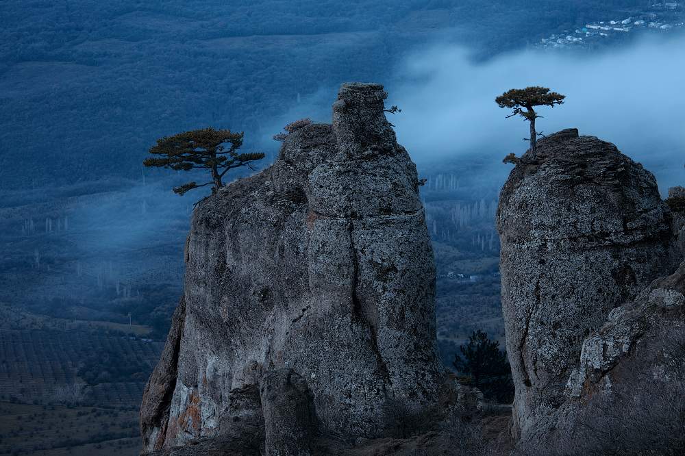 Stand with Ukraine tweet media