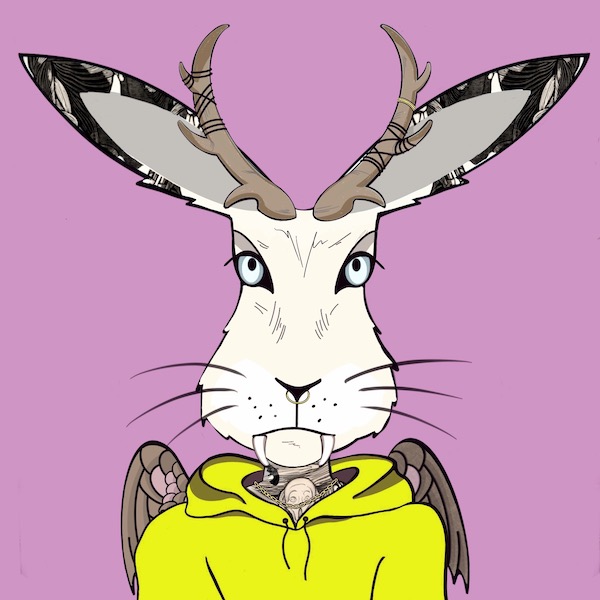 JACK BAVARIAN tweet media