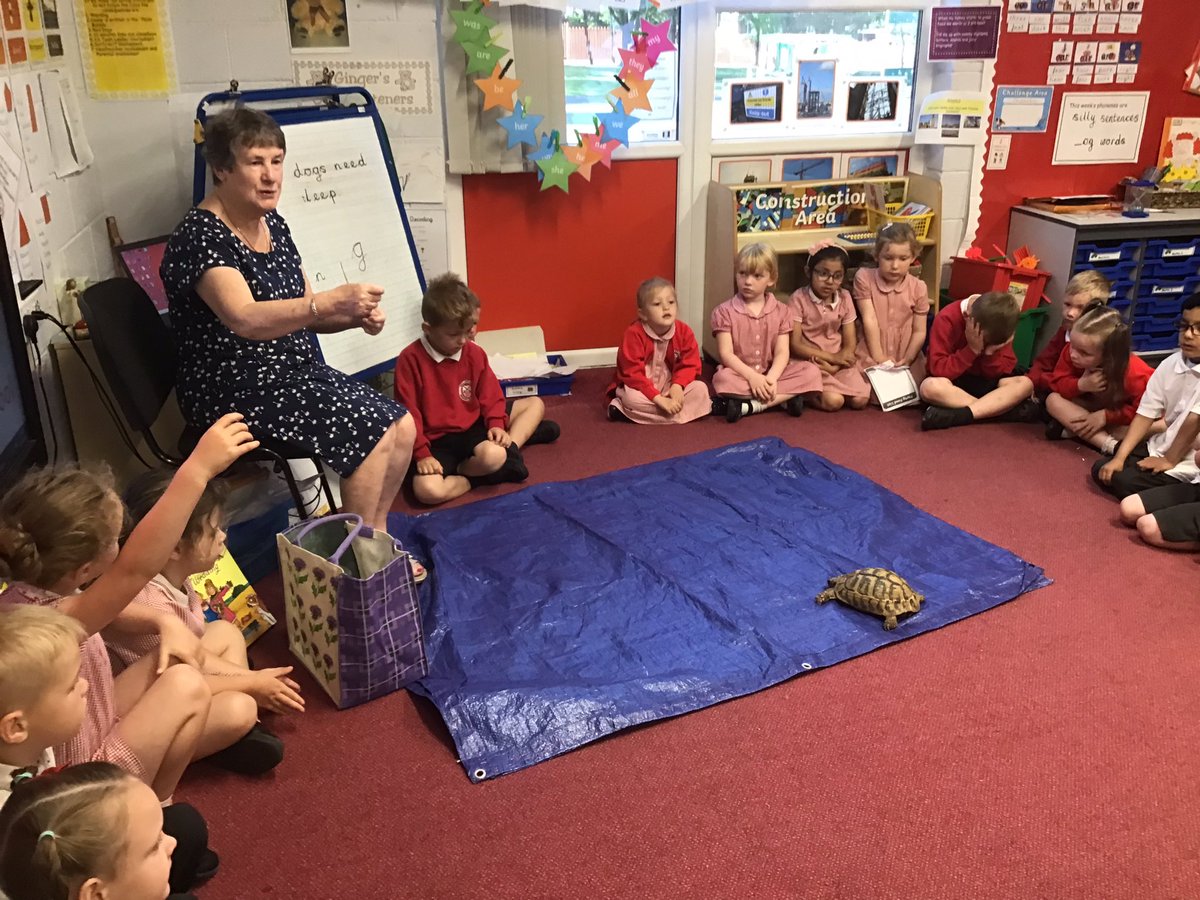 GPSOak's tweet photo. We have had a visit from Speedy the tortoise today! We learned about how to take care of tortoises. We learned about hibernation, egg laying and all sorts of interesting things. Thank you Mr and Mrs Moon! @Gillibrand_Sch @gillhead25 @tortoiseblog @tortoiserescue https://t.co/ga7zxW8Whx