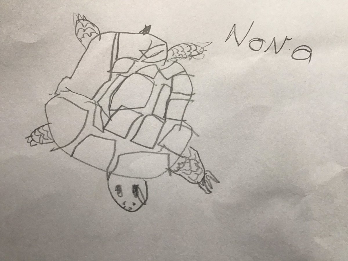GPSOak's tweet photo. We have had a visit from Speedy the tortoise today! We learned about how to take care of tortoises. We learned about hibernation, egg laying and all sorts of interesting things. Thank you Mr and Mrs Moon! @Gillibrand_Sch @gillhead25 @tortoiseblog @tortoiserescue https://t.co/ga7zxW8Whx
