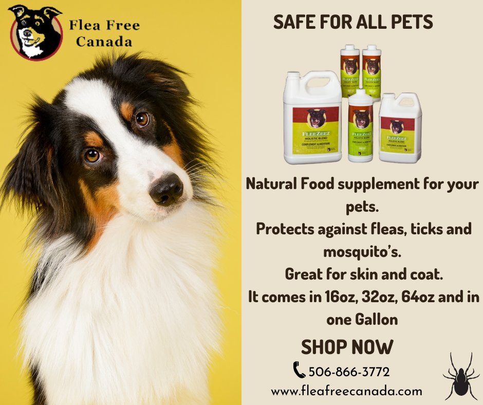 Flea Free Canada tweet media