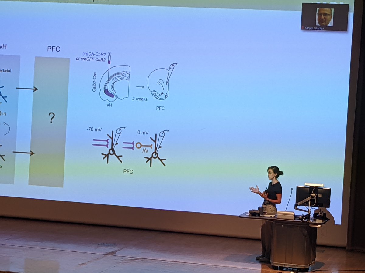 Andrew MacAskill tweet media