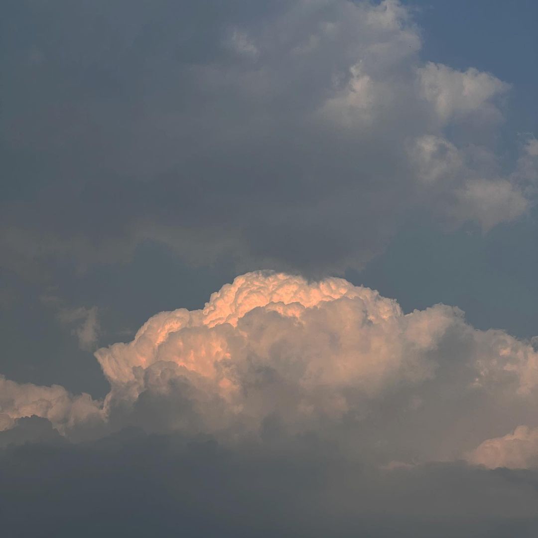 postboxham's tweet image. 220622