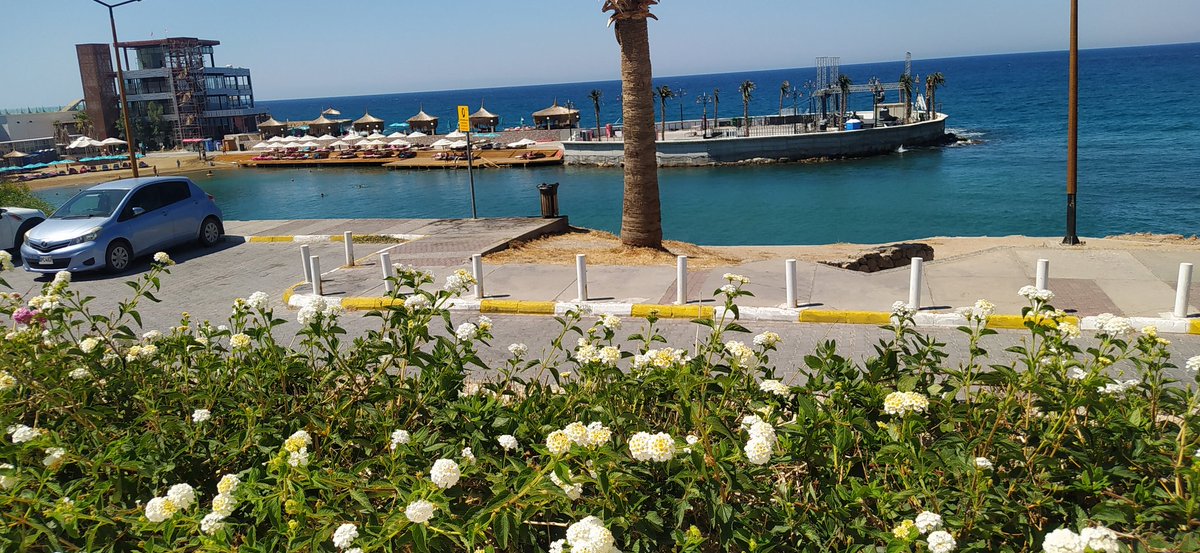 Emrah &Sena (@emrah33sena) on Twitter photo 