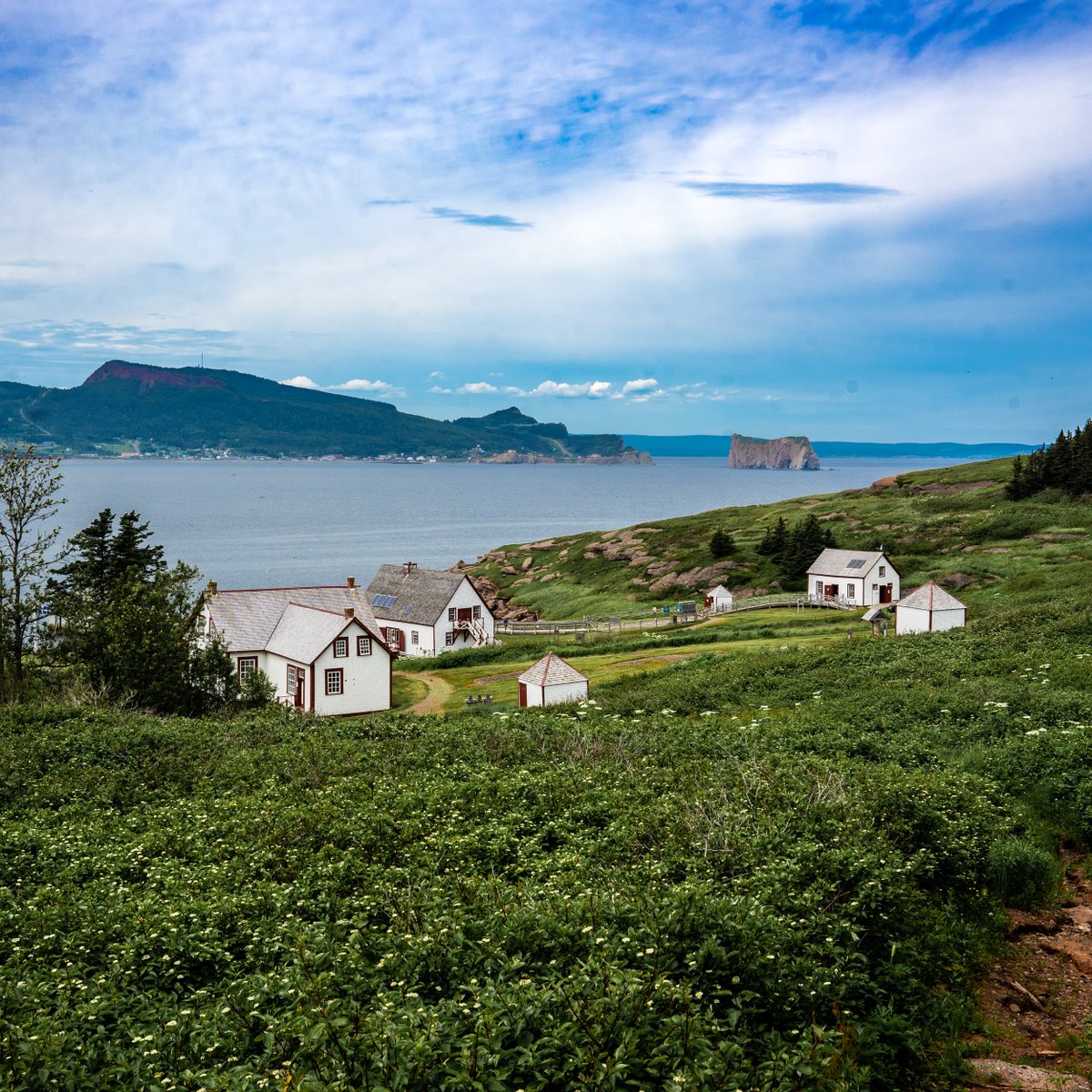 Le #Québec c'est beau - Île Bonaventure - Percé - Gaspésie

#québec #gaspésie #tourduquebec #route132 #percé #sépaq