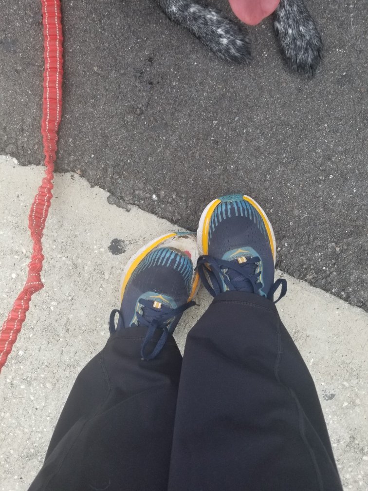 KLS71's tweet photo. Time to retire my 1st pair of @Hoka. MILES of comfort & support. #HokaOneOne #nextpair https://t.co/KMCkiOgkEt