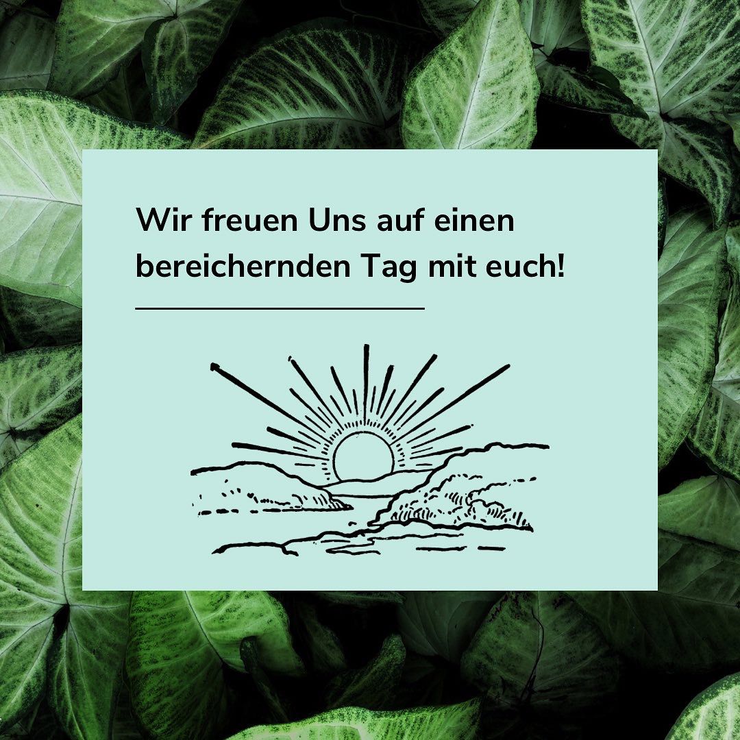 Was haben ein Insekt und Gründer:innen miteinander zu tun? 
Mehr als man denkt, soviel können Wir sagen!
#vccampus #gründerszene #Ilmenau