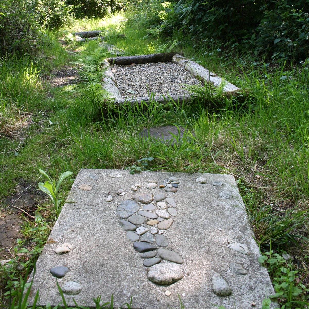 Rough, smooth, spiky or sandy? Discover the world beneath your toes down the #barefoot trail this #summer at #Godolphin👣☀️

#nationaltrust #nationaltrustgardens #nationaltrusthouses #cornwall #cornish #cornishheritage #weallneednature #naturelovers #getoutandabout
