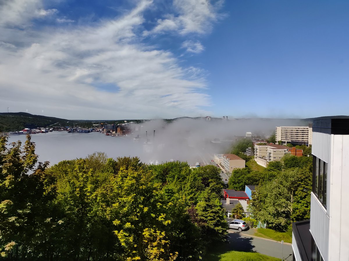 David Gill 🇨🇦 tweet media