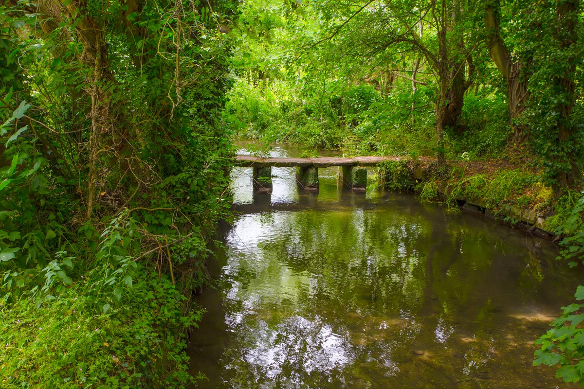 ChrisHotton's tweet photo. Clapper Bridge at Bishopstone believed to have been built in the 17th or 18th century across the River Ebble near Stratford Tony in Wiltshire. https://t.co/esu8sB6OjW
