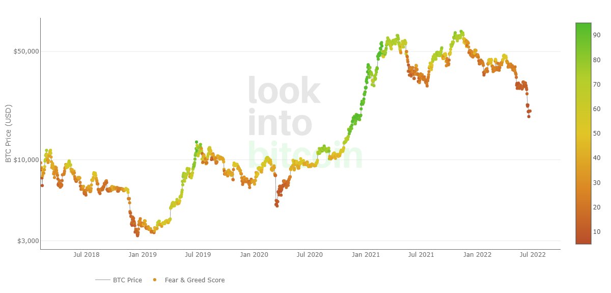 Crypto Rover tweet media
