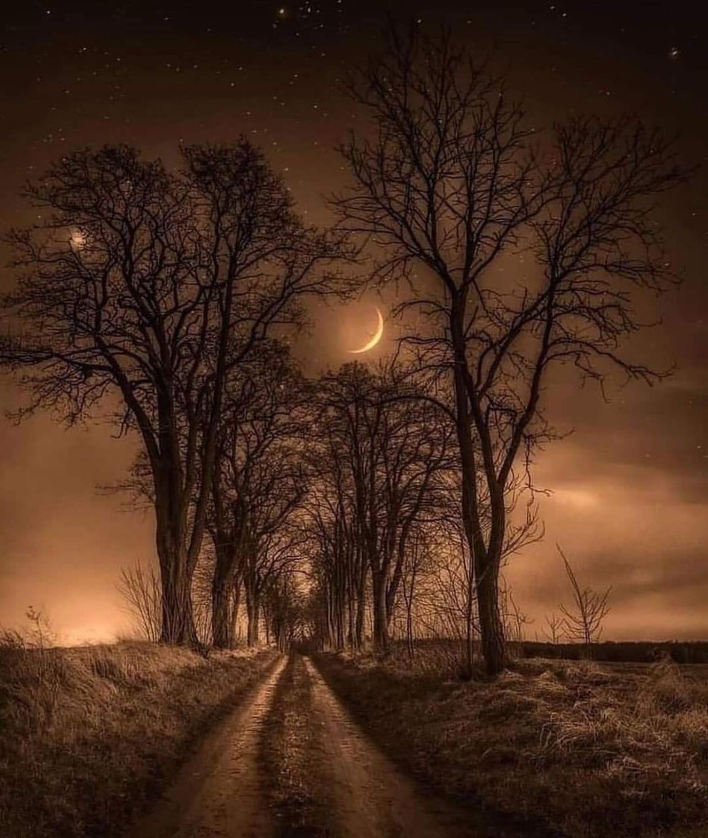 00f034799b9d4be's tweet image. God is with me