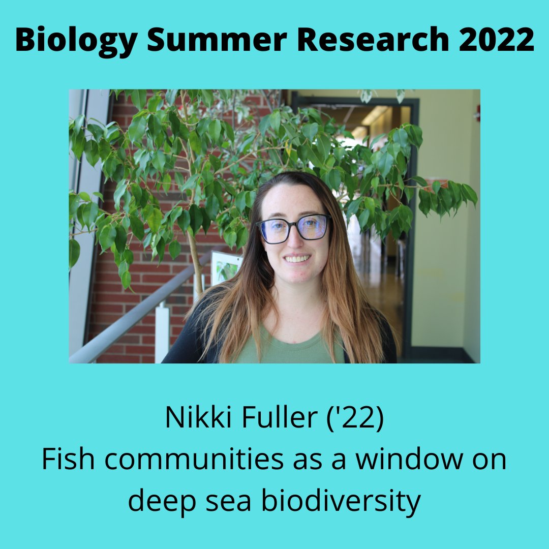 BiologyGeneseo's tweet photo. @SUNYGeneseo #GeneseoBiology student researcher Nikki Fuller ('22) is studying deep-sea fish communities off Puerto Rico via a #NOAA & #NMSF research fellowship. She is studying species depth associations to assess deep-sea biodiversity & will document trash in deep-sea systems. https://t.co/AD8EzWcv13