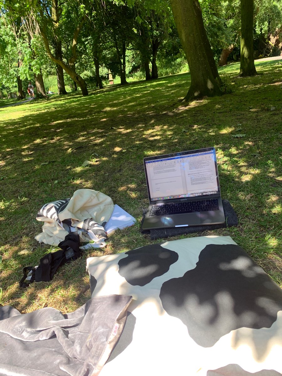 lily tweet media