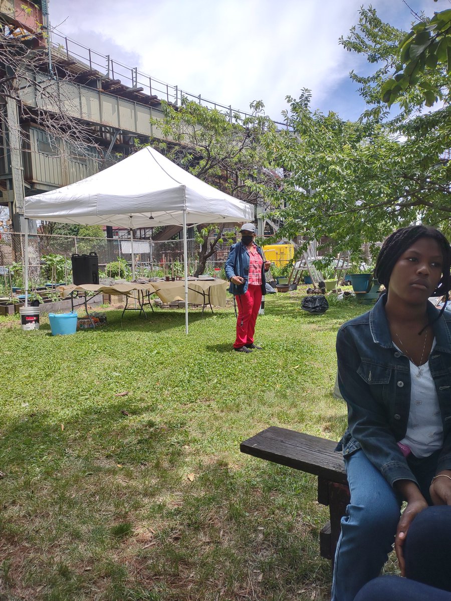 Picture the Homeless tweet media