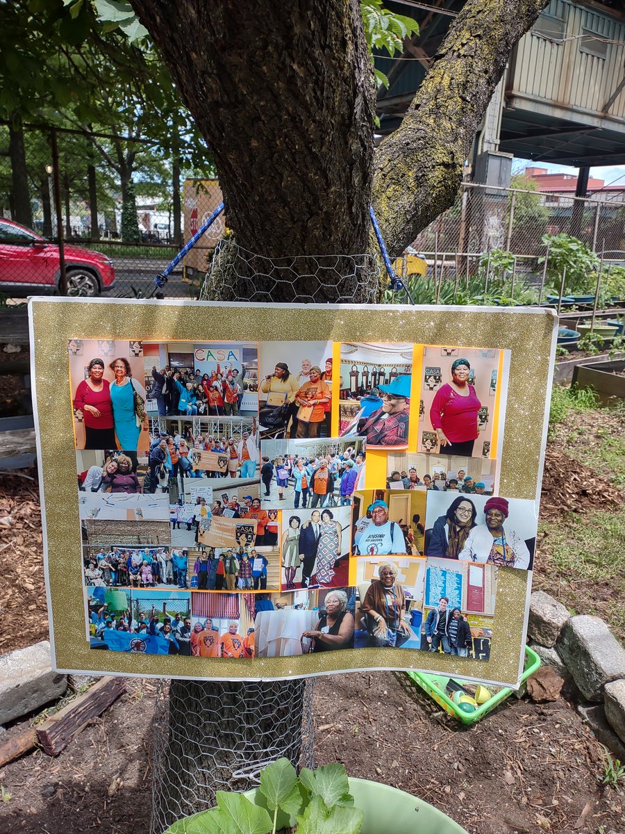 Picture the Homeless tweet media