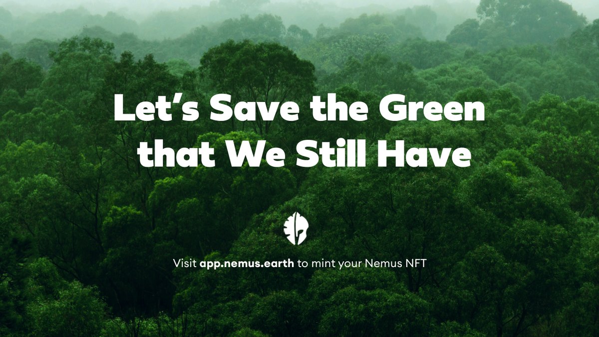 Join us on our expedition to save the green we still have.

Happy World Rainforest Day!🌳