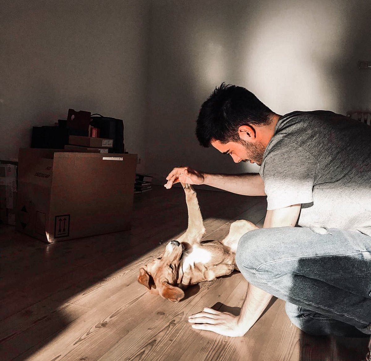 ⠀⠀  ┏━━  𝑻𝑯𝑬𝒀 𝑺𝑨𝒀 𝑰 𝑫𝑰𝑫 𝑺𝑶𝑴𝑬𝑻𝑯𝑰𝑵𝑮 𝑩𝑨𝑫
⠀ ⠀⠀⠀ ⠀⠀    ╱╱⠀ ⠀⠀ 𝑡ℎ𝑒𝑛 𝑤ℎ𝑦 𝑖𝑡’𝑠 𝑓𝑒𝑒𝑙 𝑆𝛳 𝐺𝛳𝛳𝐷.
⠀ ⠀⠀⠀ ⠀⠀    : ↻ + ♡

⠀ ⠀⠀⠀ ⠀⠀    rplay - enric cutillas. - veterinary - 23a.