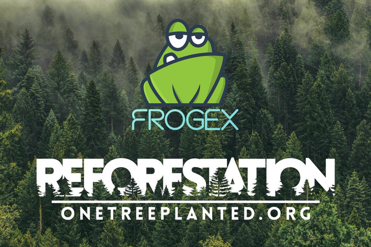 FrogeFi's tweet photo. 🌲It’s #worldrainforestday! Retweet this post to plant a tree with #FrogeX and @onetreeplanted! 🌲 https://t.co/uS4CrRVFFT