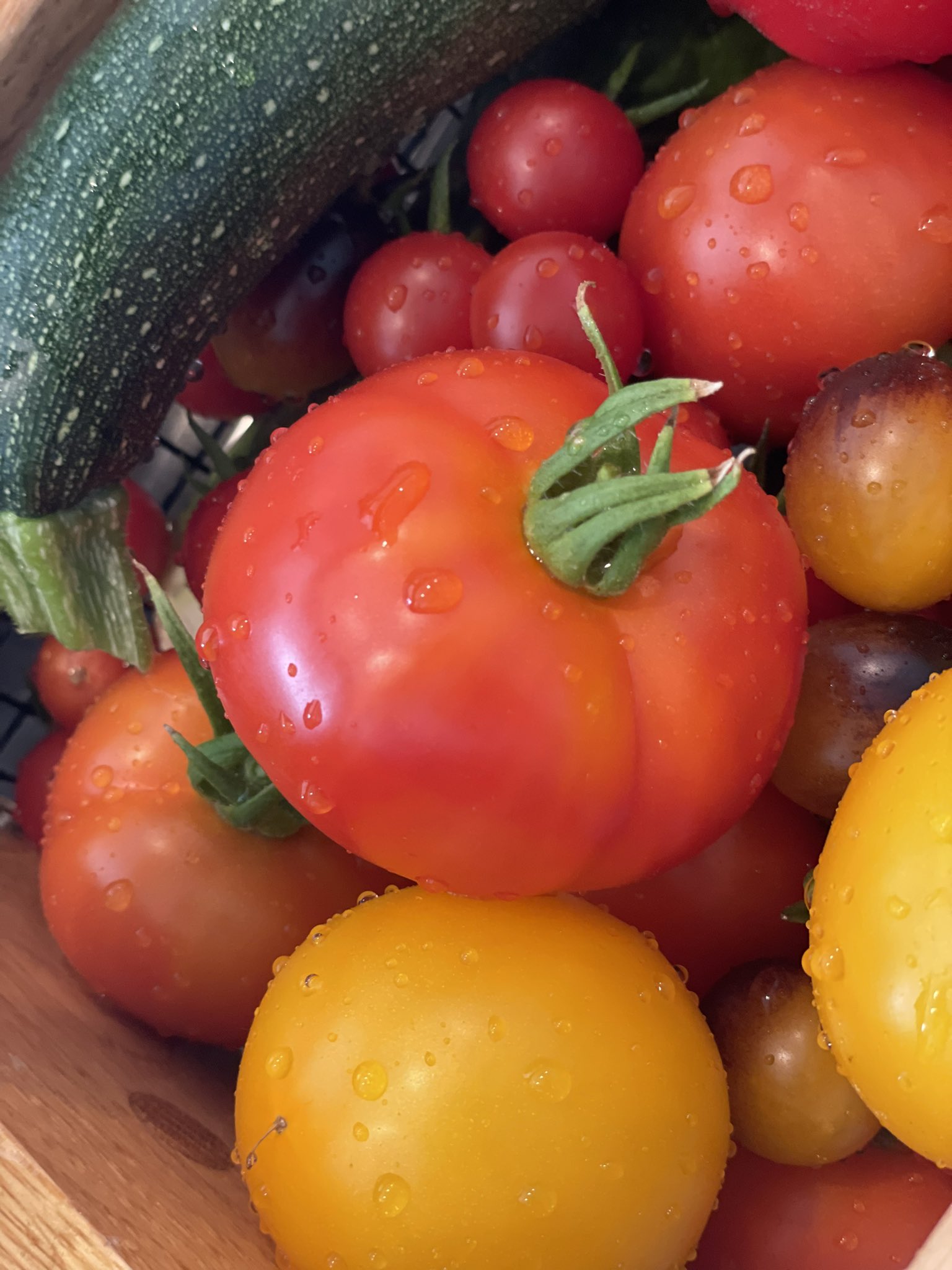 I. Marlene King (imarleneking) / Twitter