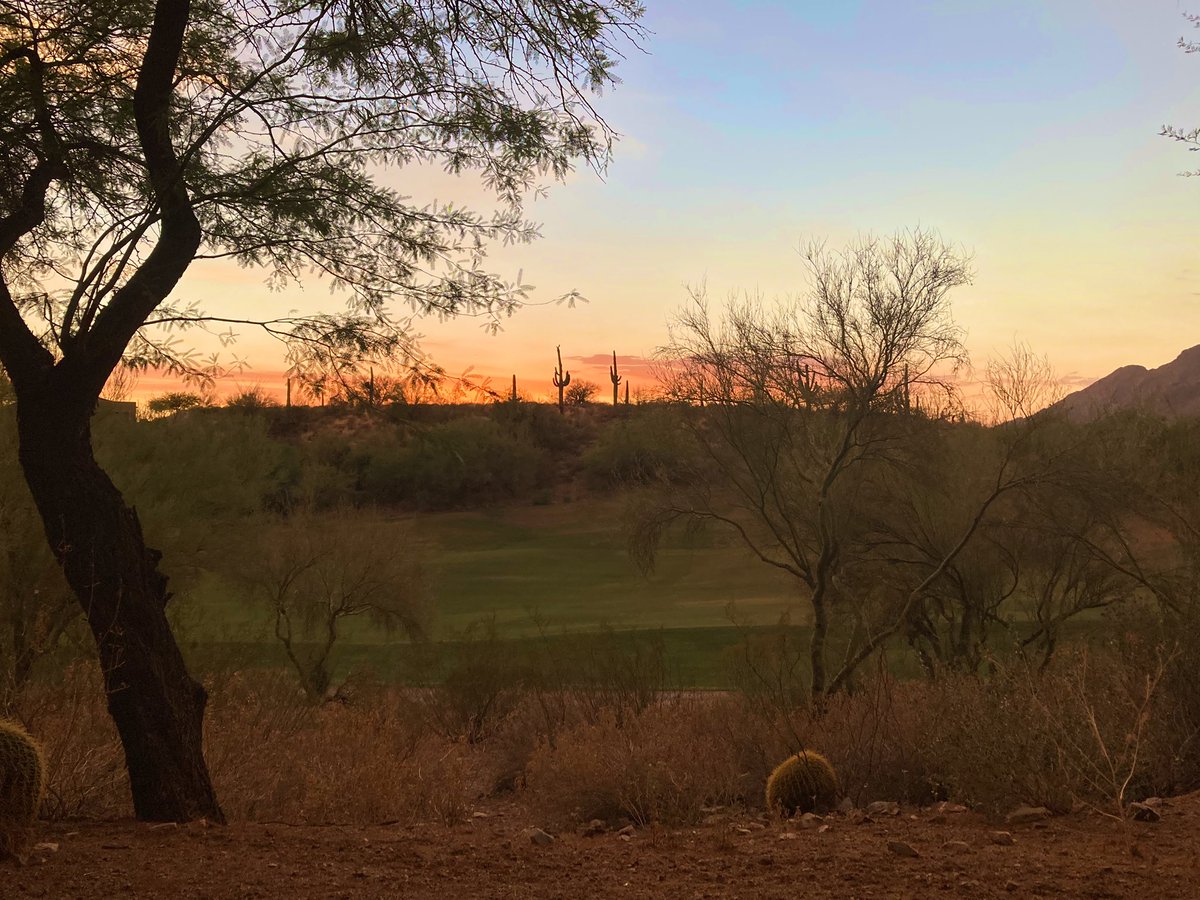 Dyck_ologist's tweet photo. Sad that #ASMTucson is over, but I can’t think of a better way to have closed out the conference.

I’m humbled and honored to be the 2022 recipient of the ASM Fellowship and looking forward to seeing everyone next year in Anchorage 

@MammalMeetings 
@Mammalogists https://t.co/9sIcQseOTN