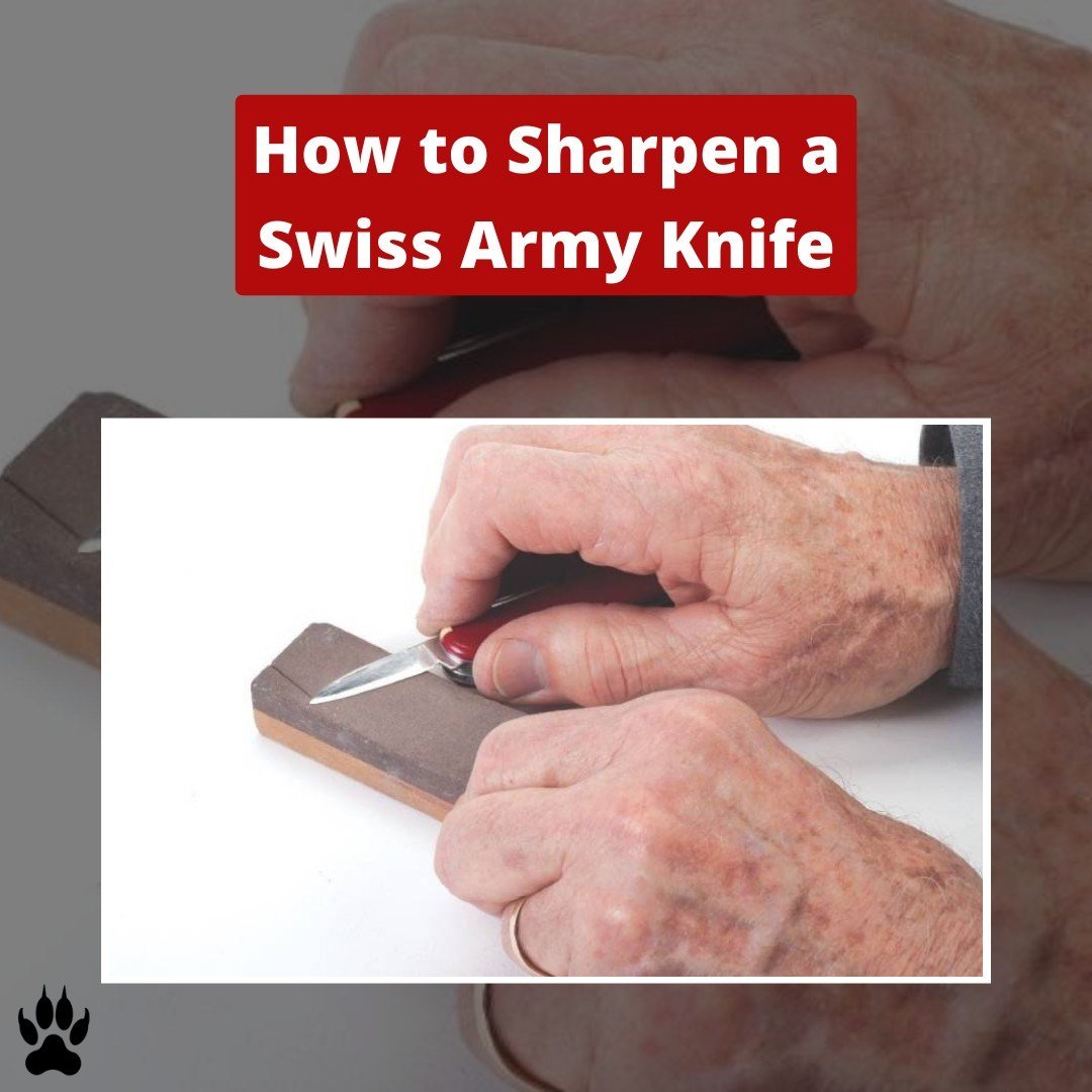 Defiel2's tweet photo. Here is how you can sharpen your swiss army knife: https://t.co/Go3ZPMSSL0 https://t.co/0VI8omlgvu