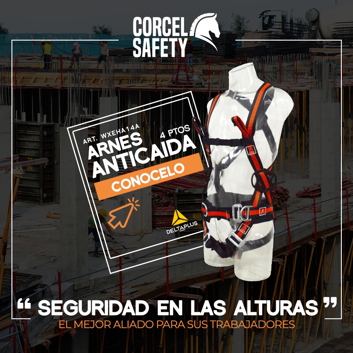 CorcelSa tweet picture