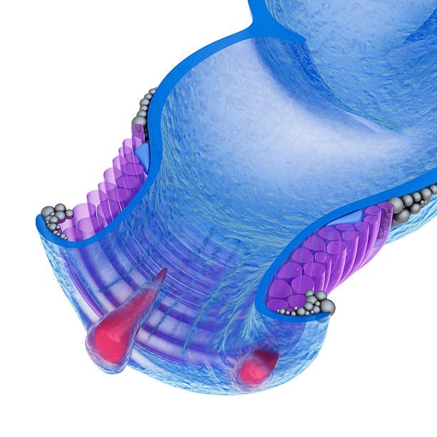 A systematic review and network meta-analysis comparing treatments for anal fissure surgjournal.com/article/S0039-… @jamesjin01 @SWexner @juliomayol @debby_keller @nlavellaneda @GianlucaPellino @luciacolorectal @ManishChandSurg @ASCRS_1 @escp_tweets #SoMe4Surgery #colorectalsurgery