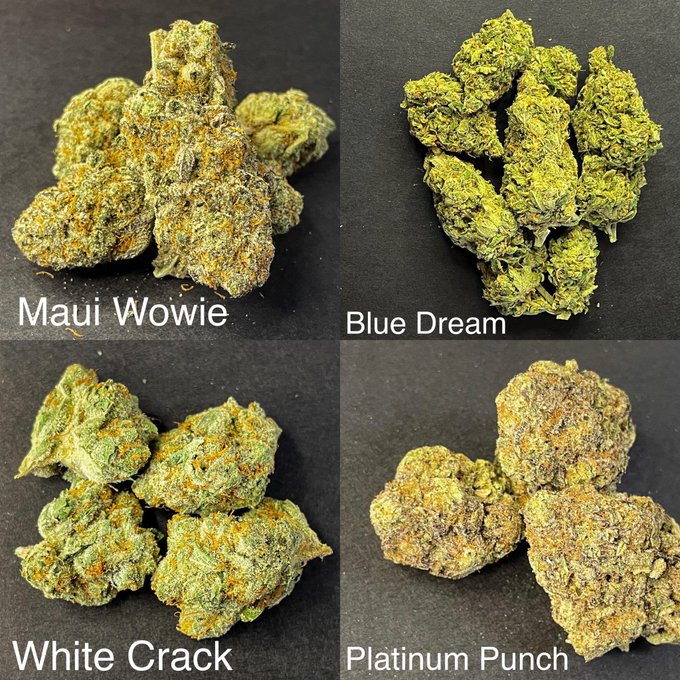 Some of my favorites #strains #sativa #indica    And did I tell you how much I enjoy living in #cali<a href="/tag/strains"class="tags">#strains</a><a href="/tag/sativa"class="tags">#sativa</a><a href="/tag/indica"class="tags">#indica</a><a href="/tag/cali"class="tags"><span>#cali</span></a>