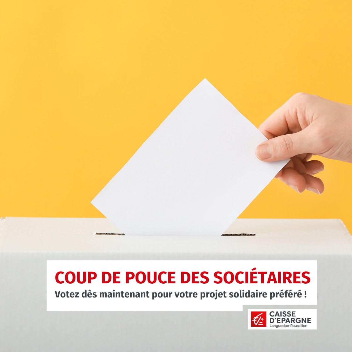 CaissepargneLR's tweet photo. #CoupDePouce 👍
Vous êtes #sociétaire de la @CaissepargneLR ? Votez dès maintenant pour votre projet solidaire préféré 🗳 Grâce à vous, la structure plébiscitée recevra une subvention "Coup de Pouce" de 5000 €.
C'est par ici ➡ https://t.co/K5OCqnYTmM #VousEtreUtile #pub https://t.co/2cEv3u02DP