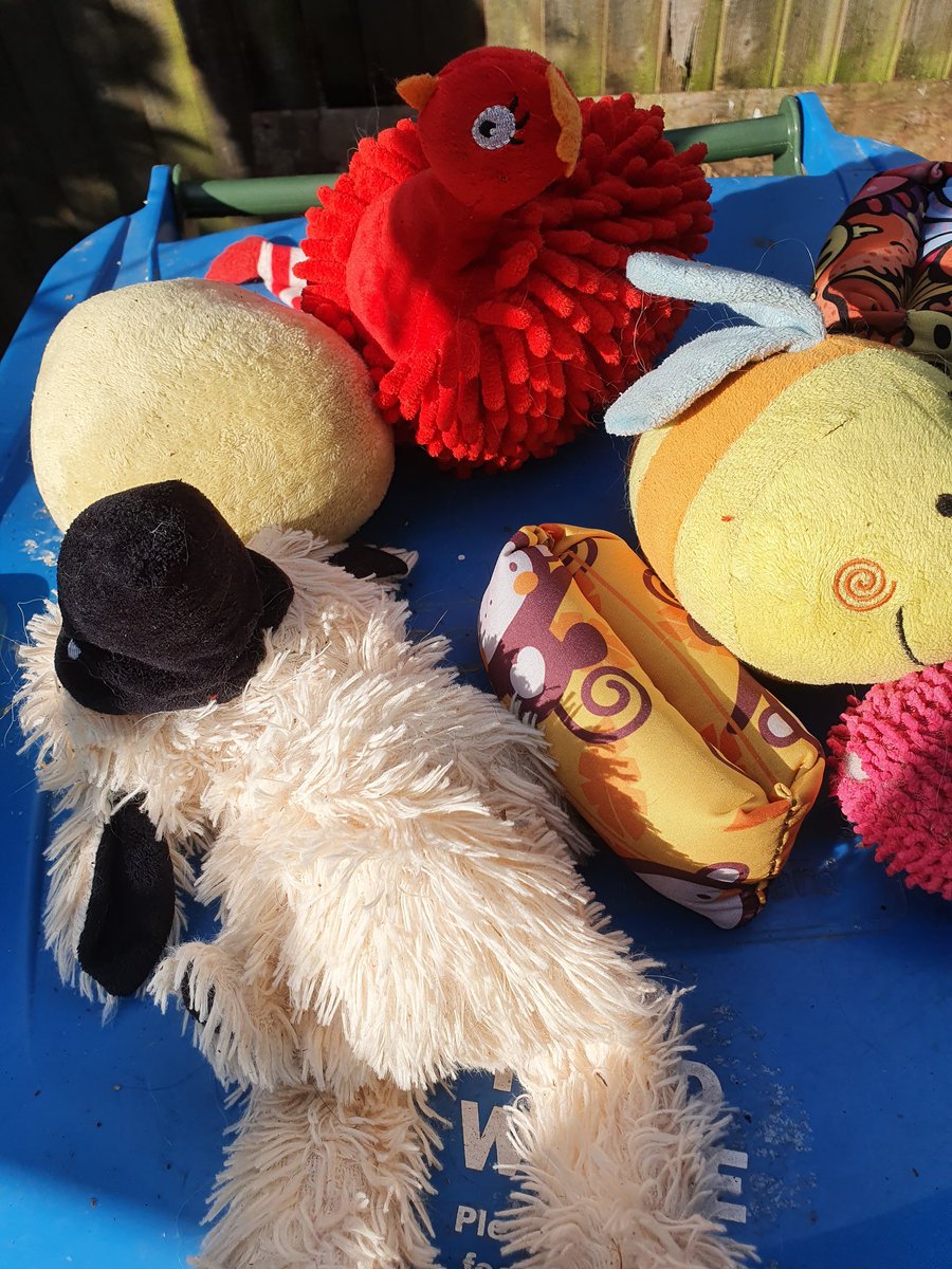 CollieFiction's tweet photo. My dollies has been in the wishy washy an I has nuffin to play with 😔 https://t.co/yfx0nXhrbB
