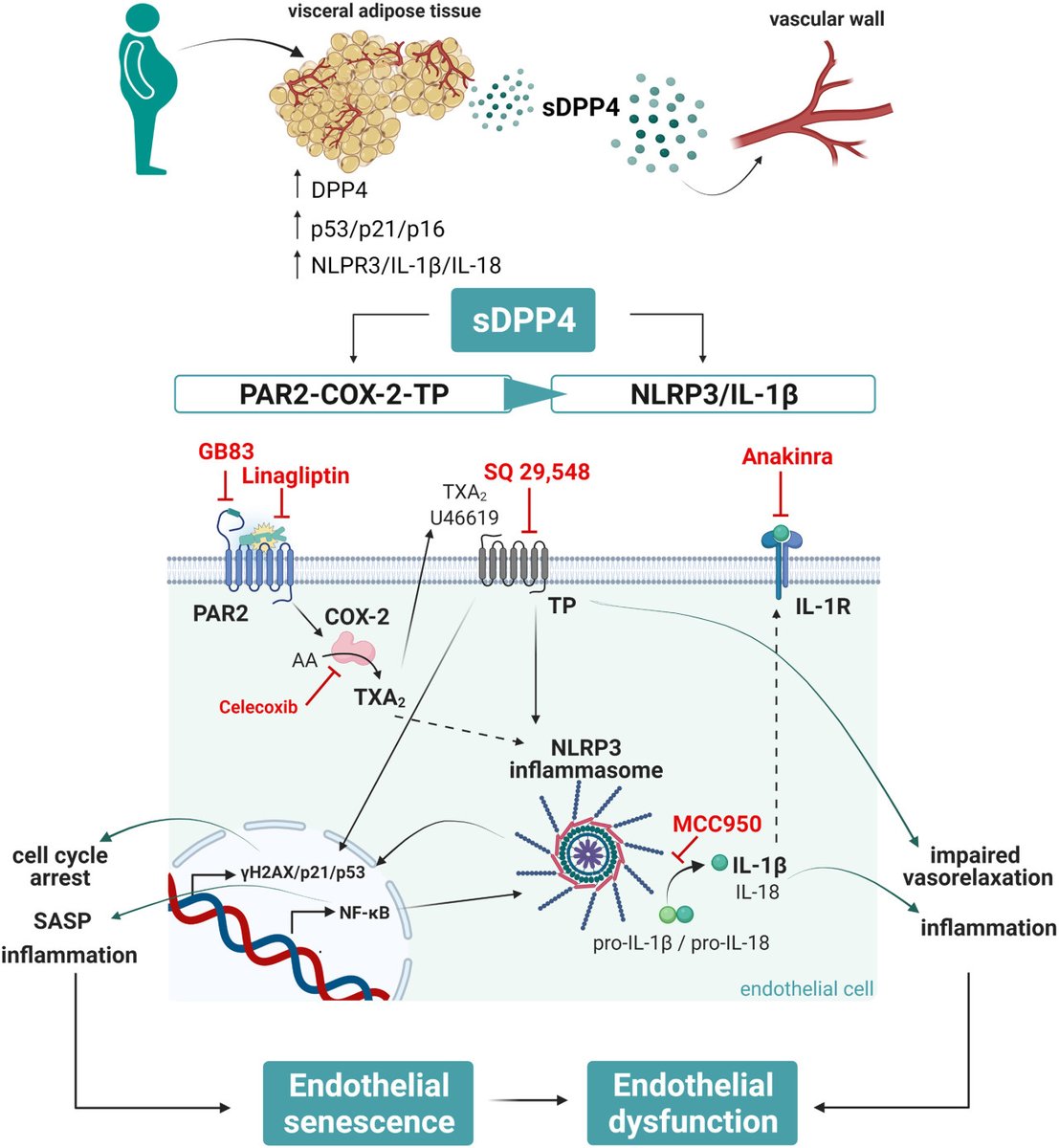 Hypertension tweet media