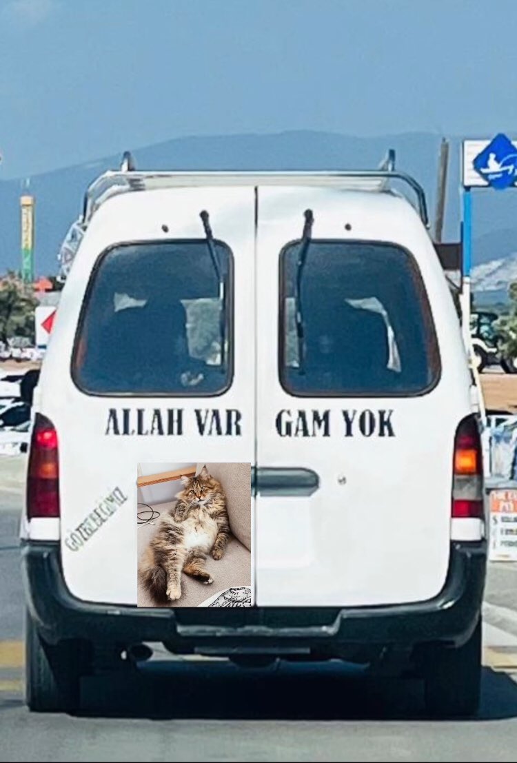 Gamsız hayat,