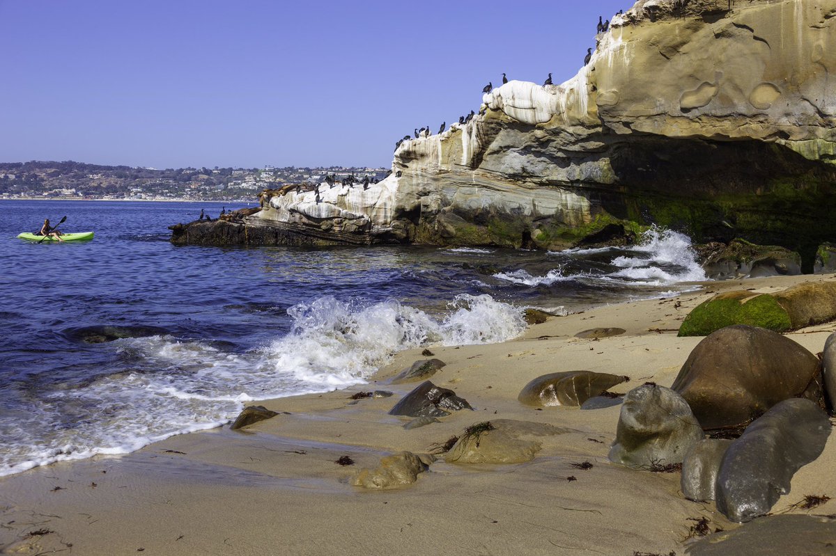 h2ohound's tweet photo. If you head down to #LaJolla between July and August, you can #kayak with the leopard #sharks that show up in droves during the summer. 

https://t.co/L6cNv96skP https://t.co/god08XsyeT