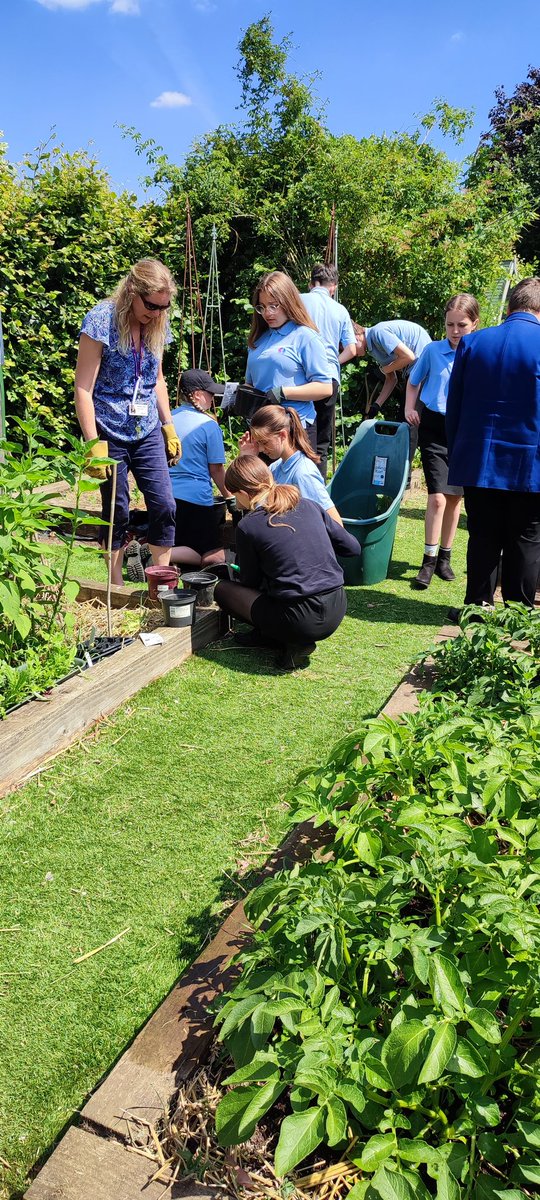 DPickeringAAN's tweet photo. Another busy warm day in @AttleboroughAN garden and allotment. Looking after the smaller plants and planting more seeds.  Yet again support and assistance fantastic from the pupils. https://t.co/bwDVWrT5Ob