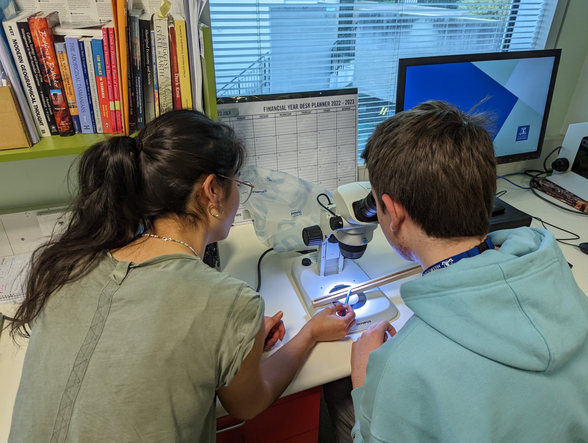 Hayden Dalton tweet media