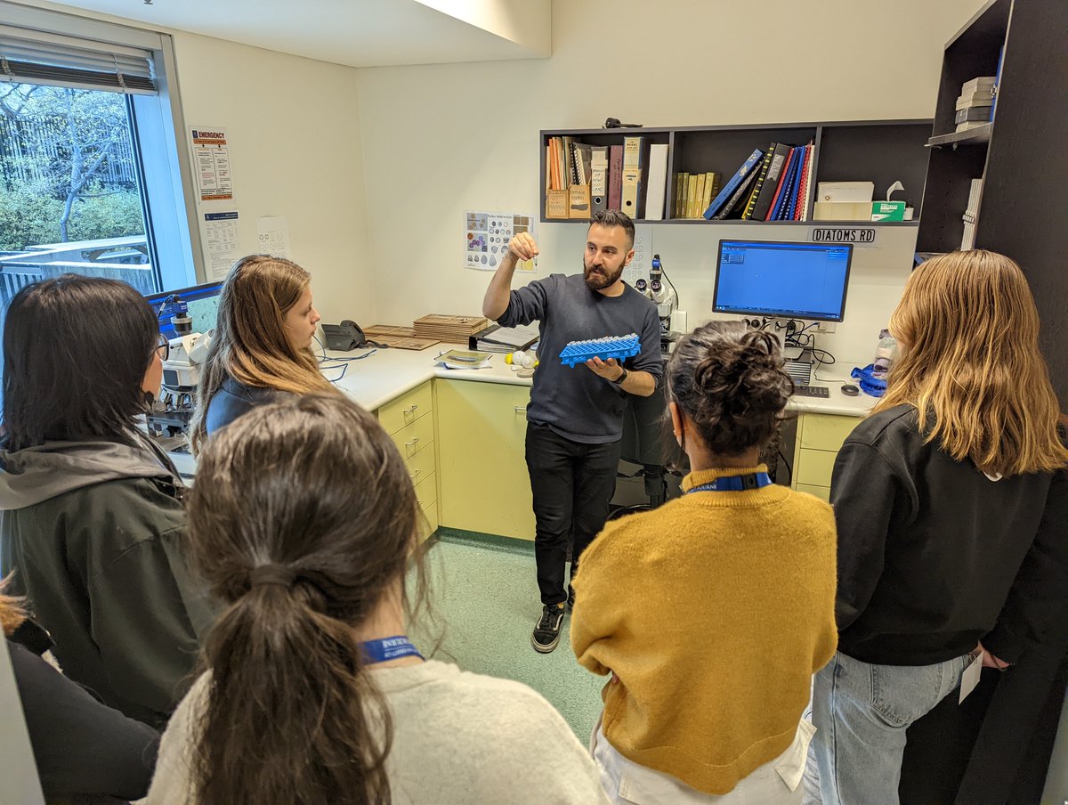 Hayden Dalton tweet media