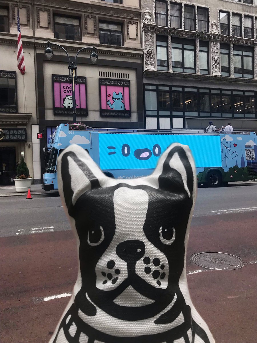 Toasty_ville's tweet photo. Who ever said dogs and cats can’t be friends?! @coolcatsnft #toastyville #waffles #NFTNYC #CooltopiaNYC https://t.co/palmyJbNpP