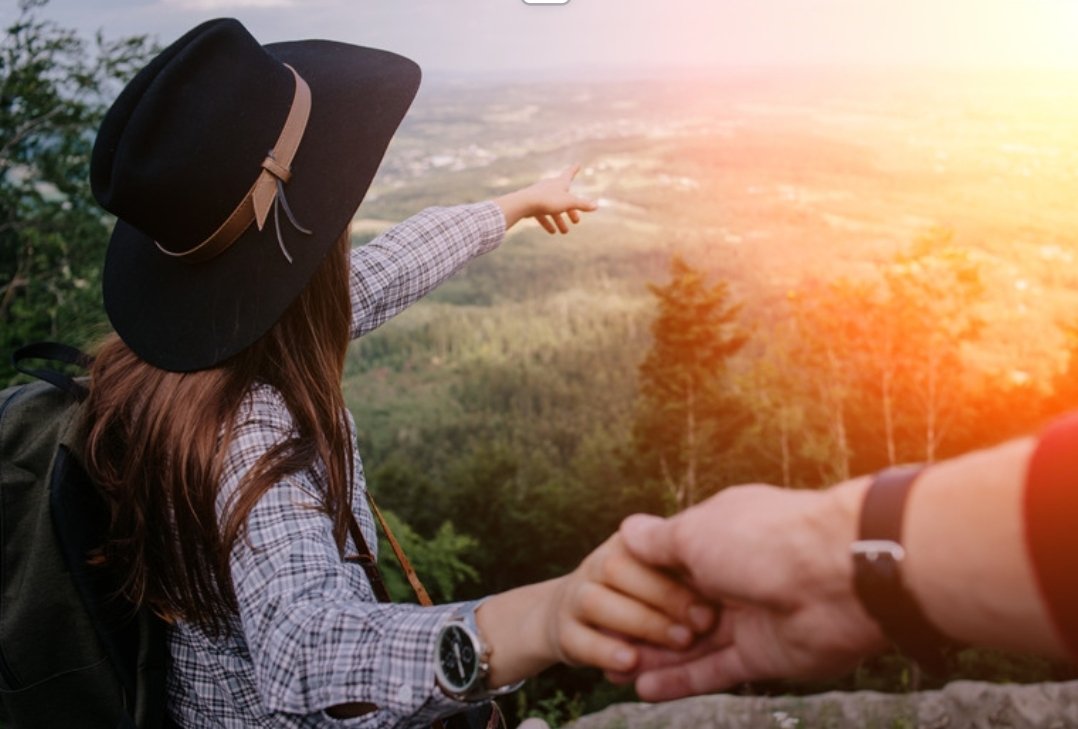 Human Concern tweet media