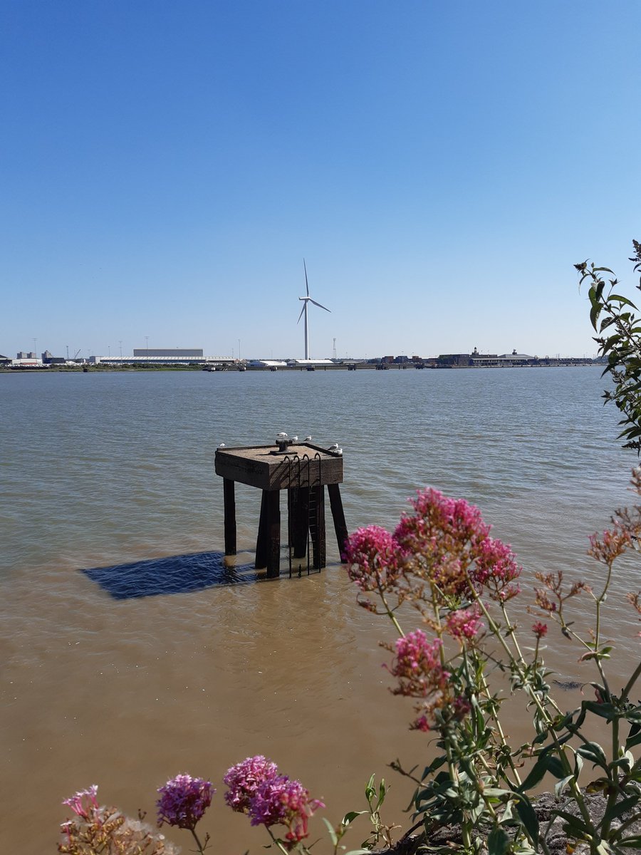 Lovely day off enjoying all that #Gravesend  has to offer.  Great walks, stunning scenery, <a href="/TheWoodville/">The Woodville</a> cinema, eating out, and ice creams by the river! 🥰

@visit_gravesend <a href="/GravesendTCM/">Town Centre Manager for Gravesend</a> <a href="/graveshambc/">Gravesham Council</a> #Kent #VisitKent