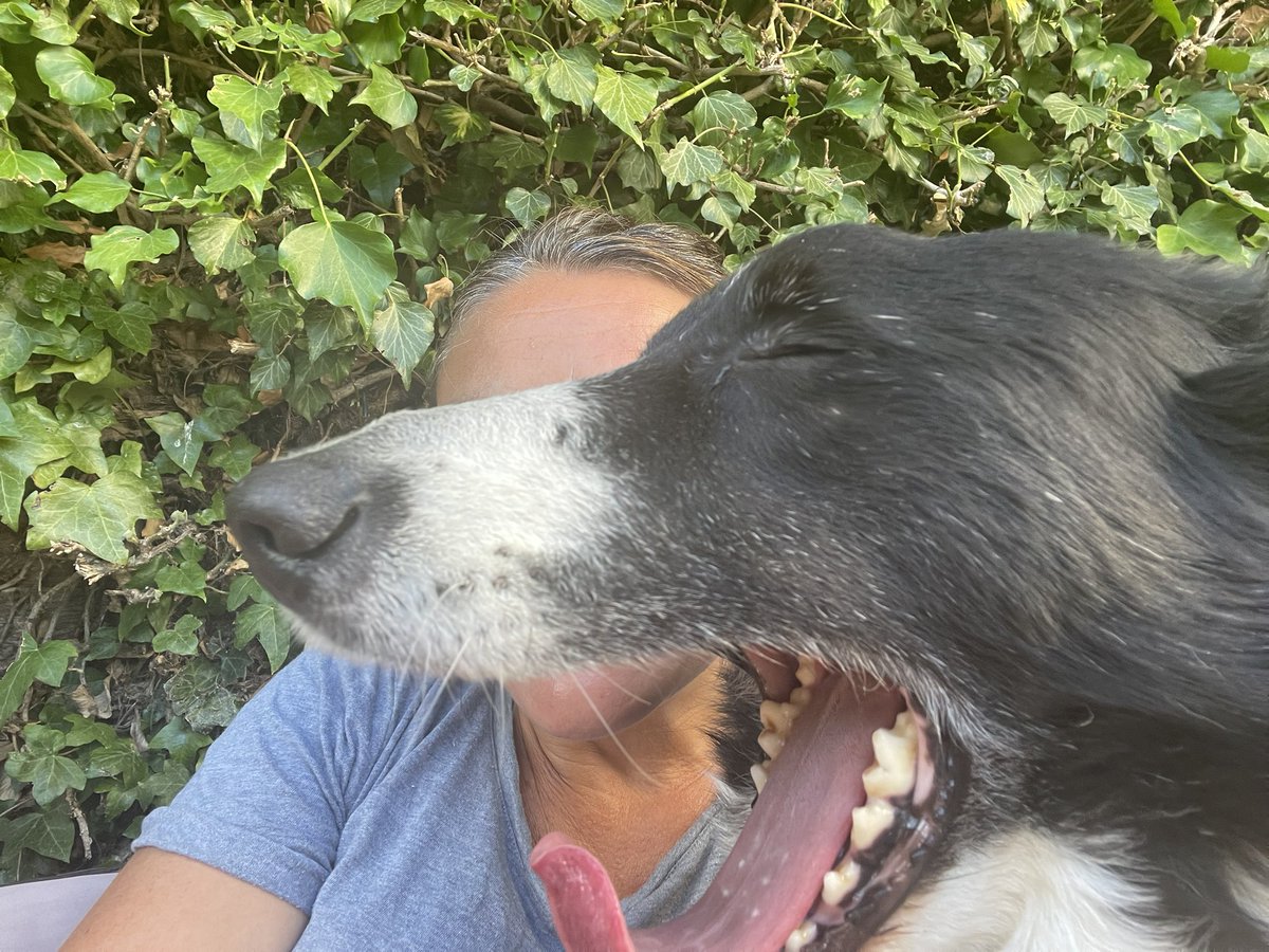 Yawn. Another selfie attempt…