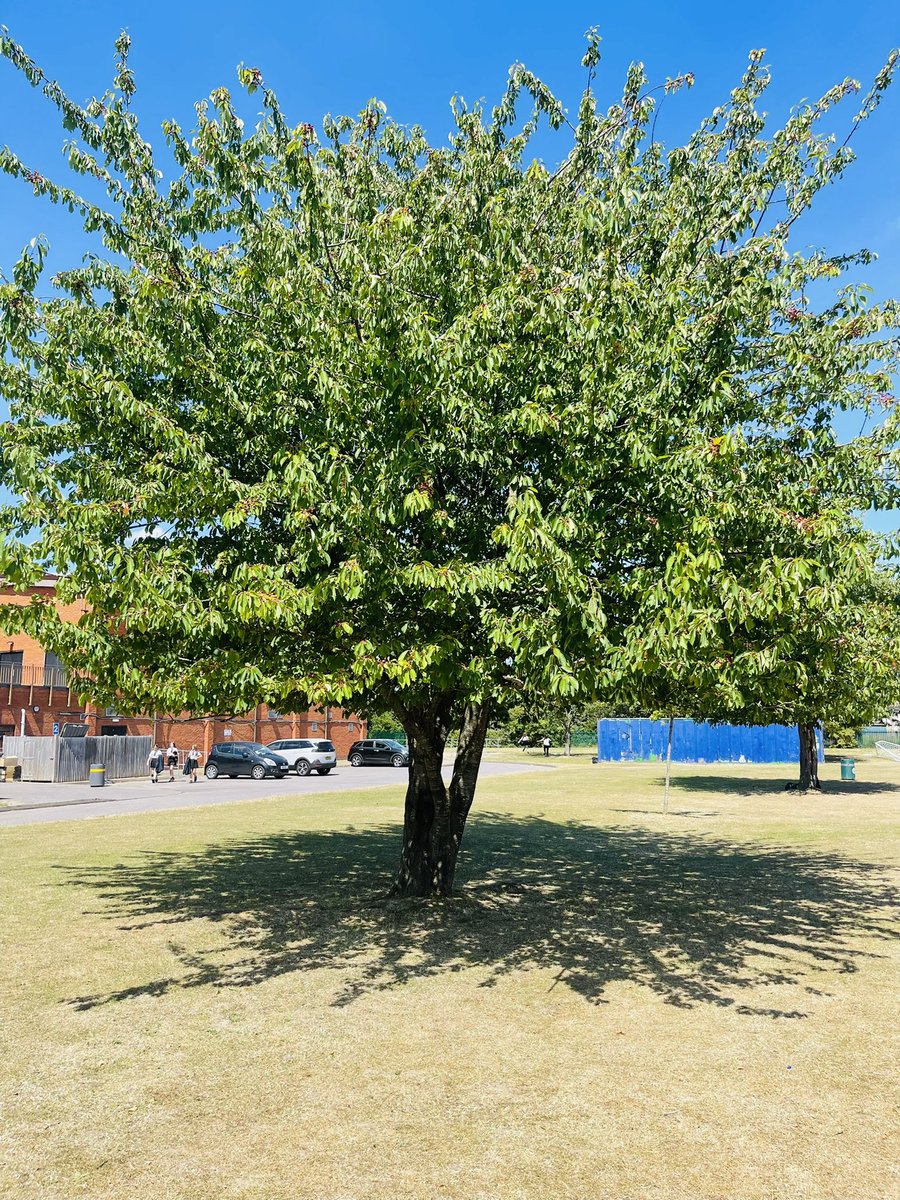 SpringwestA's tweet photo. When the sun shines on a lunch time …… #abeautifultime #mood #community #believe https://t.co/AgoSL7zWp6