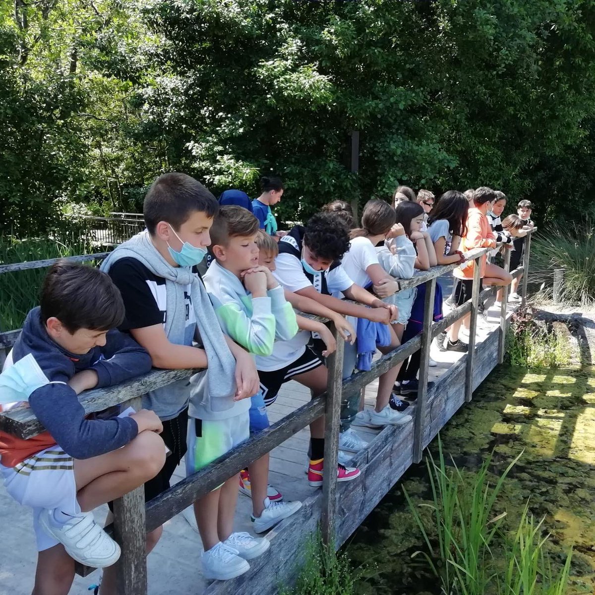 InmaculadaPonfe's tweet image. Los alumnos de sexto, hemos disfrutado del Jardín Botánico de Gijón esta mañana🌷🌱🌳🌲!!

#ExcursiónEscolar #ExcursionesFinDeCurso #concepcionistas
