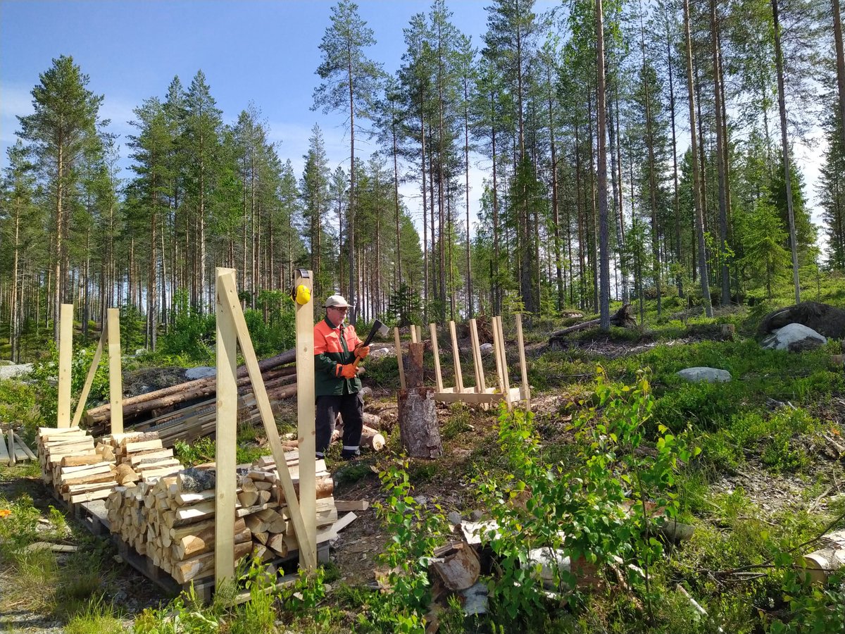 Jos miehellä on varastossa keskimäärin #polttopuu tab15 vuodeksi, niin eikö silloin ole jo kohtuullisen pitkäikäinen #hiilivarasto verrattuna siihen, että latvat ja pieniläpimittainen puu lahoaisi metsässä muutamassa vuodessa