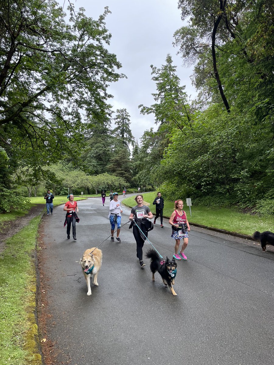 PillarPropSea's tweet photo. Team Pillar at the Furry 5K Fun Run and Walk to support @SeattleAnimal! We had team members, friends and family, residents, and of course our furry friends all out there for the cause🐾 #pillarlovespets #pillarpassions https://t.co/26BtAvTCoM