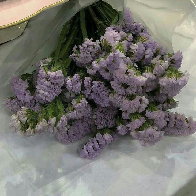 Canan_Ertuzun's tweet photo. .

"Ey Atinalılar! Beni dinsizlikle suçluyorsunuz; oysa bilgisizlik daha büyük bir günah değil midir?"

#Sokrates https://t.co/GU8qpis1LT