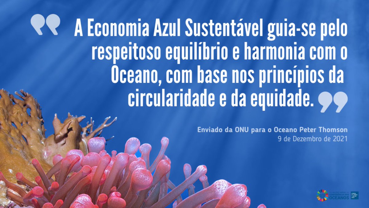 Junte-se ao 'Fórum de Investimento na Economia Azul Sustentável' no próximo dia 28 de junho no Estoril.
Saiba mais em portugalglobal.pt/EN/blue-econom… 

#SalvarOsOceanos #OceanDecade #ActNow