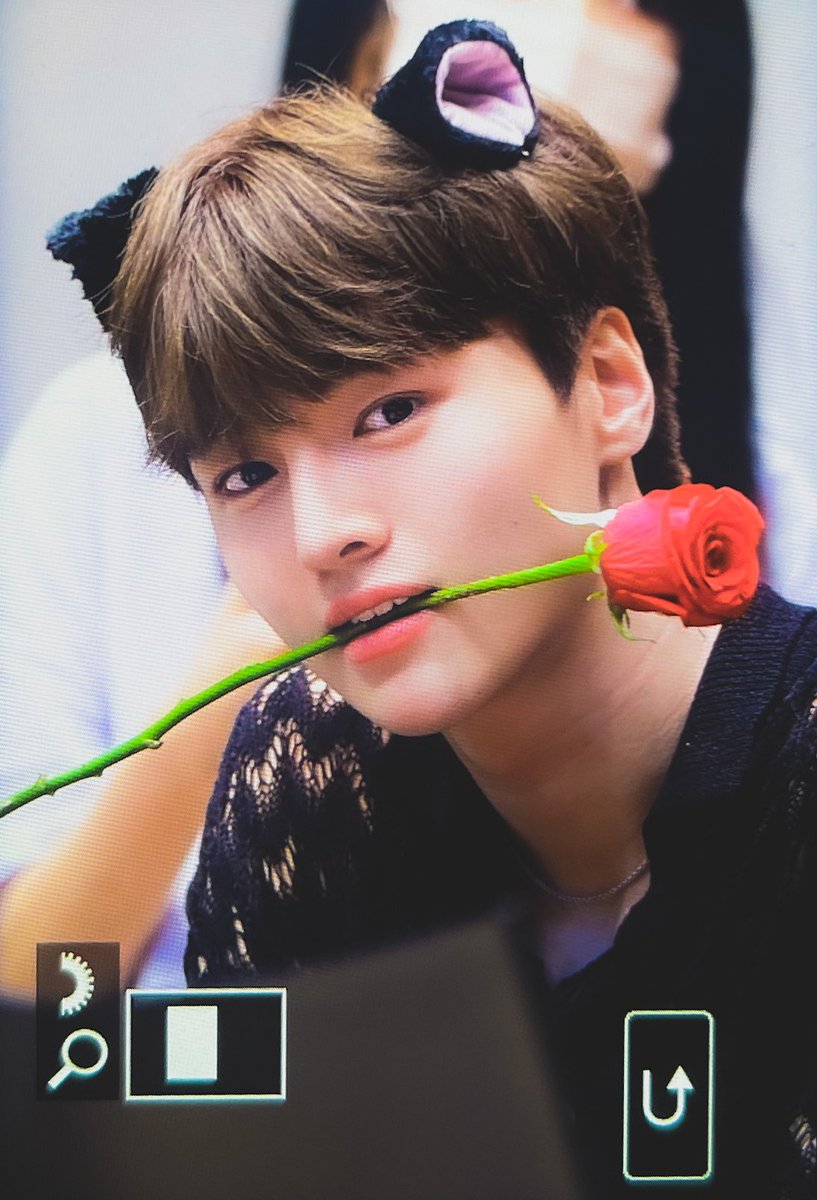 luvmypeachy's tweet photo. 220622  #차준호 #드리핀 #drippin #chajunho #니가내벚꽃이다 https://t.co/4ftc8b0WW6